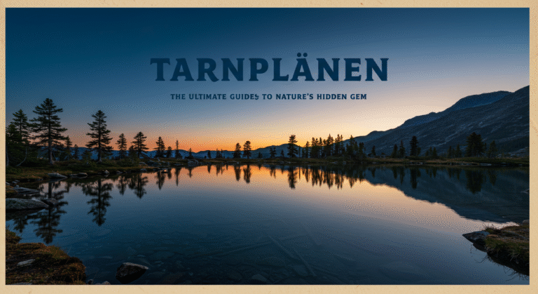 Tarnplanen