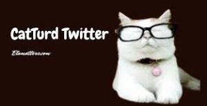 catturd