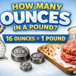 How many ounces in a pound explained with a simple weight conversion chart showing ounces to pounds